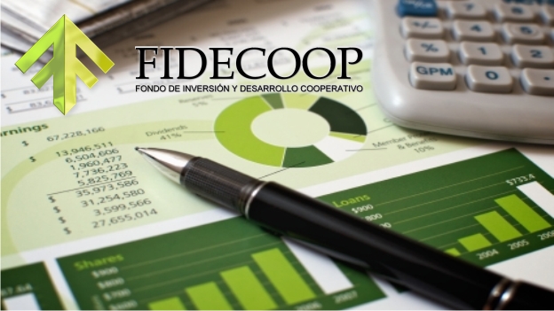 Promoción, Financiamiento y Asistencia Técnica